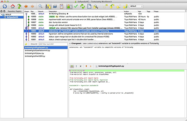 TortoiseHg