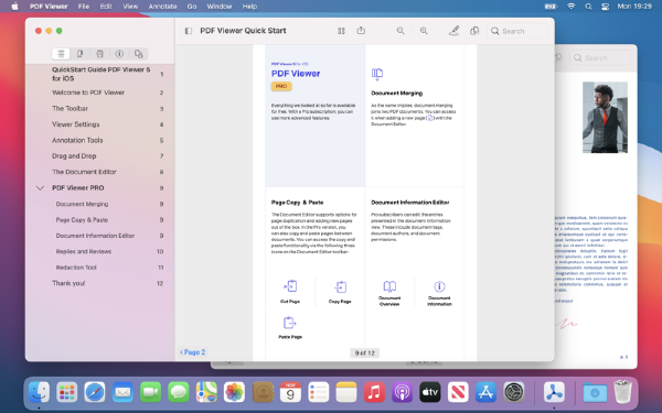 PDF Viewer Pro