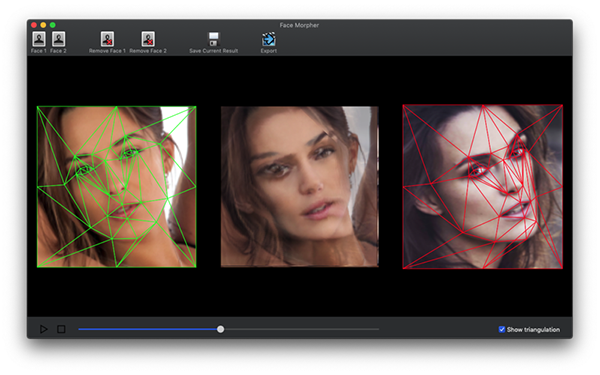 Face Morpher