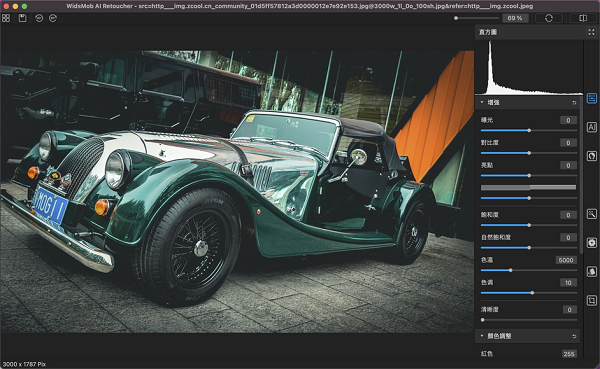 WidsMob AI Retoucher