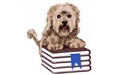 Bookdog