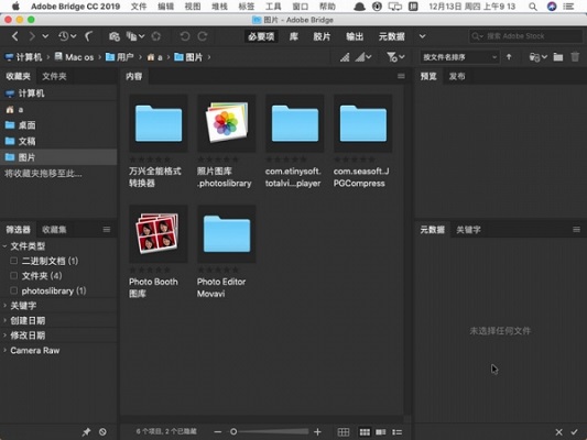 Adobe Bridge CC 2019