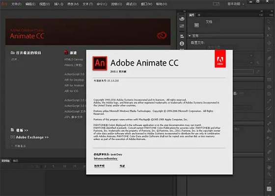 Adobe Animate CC 2017