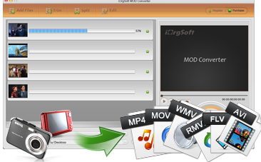 iorgsoft Mod Converter for Mac