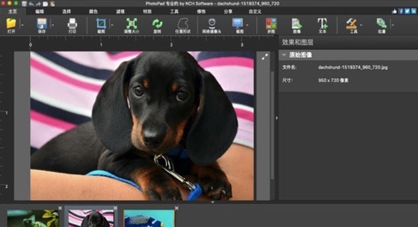 PhotoPad For Mac