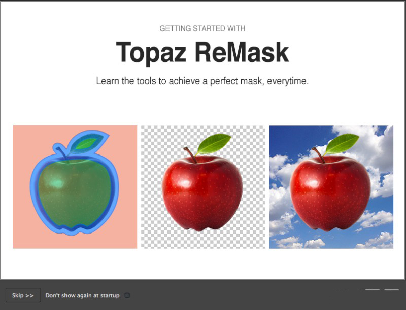 Topaz ReMask