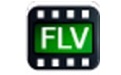 4Easysoft SWF to FLV Converter