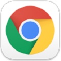 Google Chrome111.0.5563.110