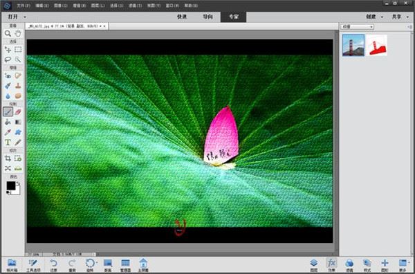 Adobe Photoshop Elements Mac