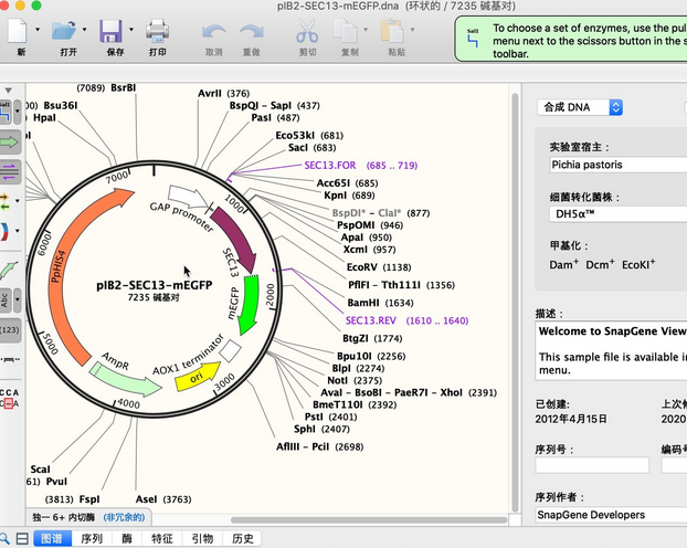 SnapGene Viewer For Mac