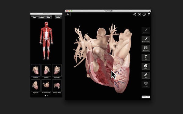 Heart Pro III for mac