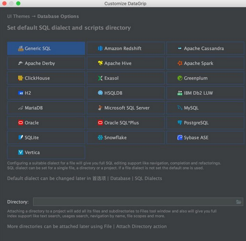 JetBrains DataGrip 2021 Mac