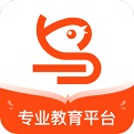 雏鸟教育电脑版