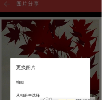 在网易云音乐中保存海报的具体步骤