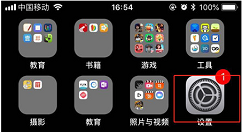 在iphone中设置禁用app流量的具体操作步骤