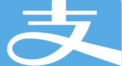 在支付宝中查询个人所得税的图文介绍