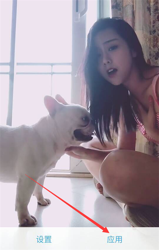 vivonex设置动态桌面的具体操作步骤