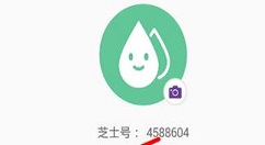 在芝士超人中设置昵称的图文讲解