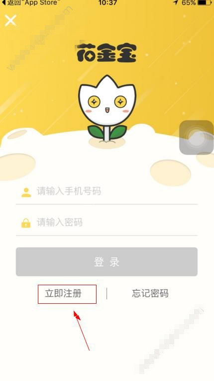 花金宝注册的步骤讲解