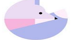 在拼图酱中贴纸位置的详细介绍