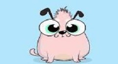 领养百度莱茨狗的图文教程