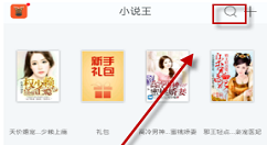 在小说王中搜索书籍的图文教程