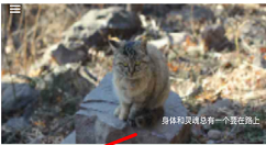 简单读书app设置字体大小的具体步骤