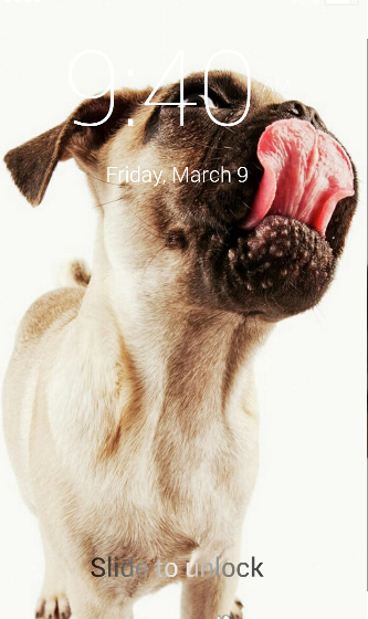 教你轻松学会玩狗舔屏幕的方法分享