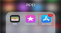 在iphone7中用流量下载应用的具体步骤