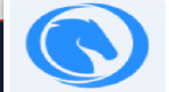 在野马白卡中进行借款的详细步骤