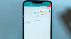 在荣耀畅玩7c中关闭系统自动更新的具体步骤