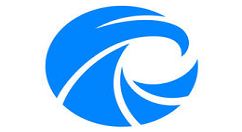 在天眼查中生成关系图的步骤介绍