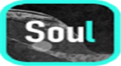 在soulAPP里将账号注销的详细步骤