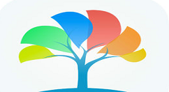 在医生树中预约挂号的具体步骤