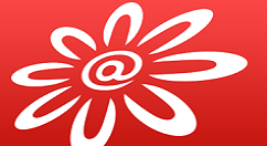 在掌上生活中查看信用账单的图文步骤