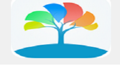 医生树打不开解决的步骤讲解