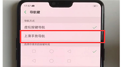 在oppoa5中设置全面屏手势的具体方法