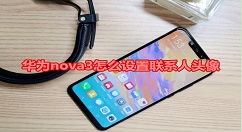 在华为nova3中设置联系人头像的图文教程