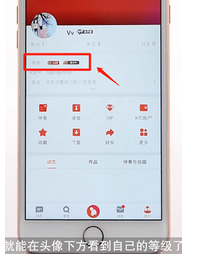 全民K歌App中升级的详细图文讲解