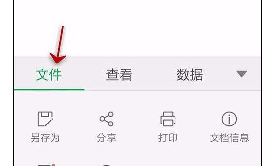WPS Office APP查看表格信息的简单方法