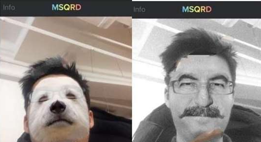 msqrd的具体使用流程介绍