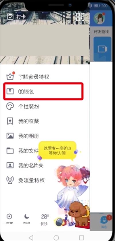 QQ修改支付密码的详细操作