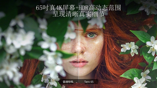 乐视推65英寸电视Zero65：售价7999元