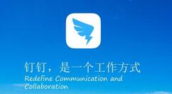 钉钉APP退出登录的图文操作