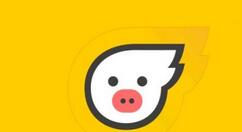 飞猪app查看旅游攻略的简单操作