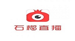 在石榴直播中充值vip的详细方法