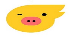 在飞猪旅行中添加常用信息的详细讲解