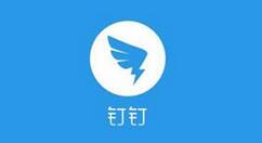 在钉钉里查看平均工作时长的教程