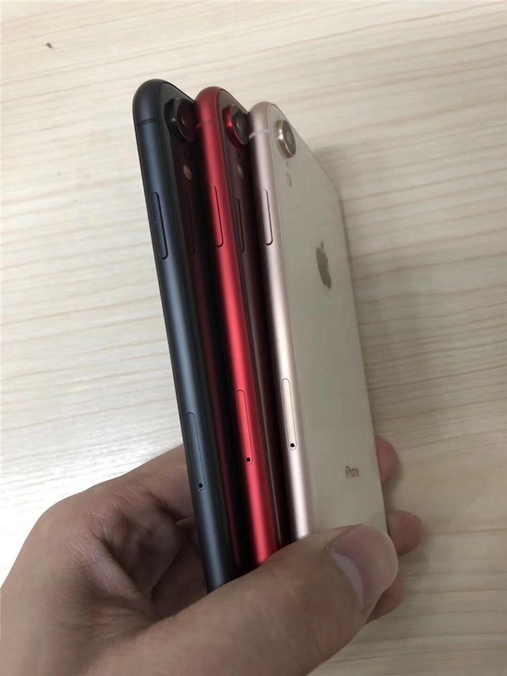6.1英寸iPhone LCD新款配色曝光：红、蓝、色