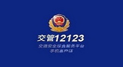 在交管12123APP中交罚款的详细讲解